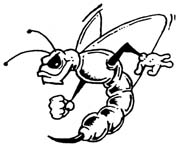bee - wasp